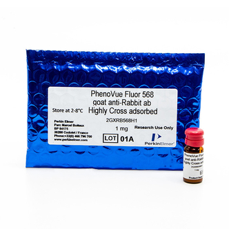PhenoVue™ Fluor 568 - Goat Anti-Rabbit Antibody Highly Cross-Adsorbed