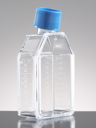 Corning® BioCoat™ Poly-D-Lysine 25cm² Rectangular Canted Neck Cell Culture Flask with Vented Cap