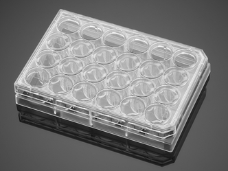 Corning® BioCoat™ Poly-D-Lysine 24-well Clear Flat Bottom TC-treated Multiwell Plate, with Lid, 5/Pack, 50/Case