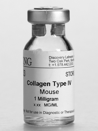 Corning® Collagen IV, Mouse, 1mg