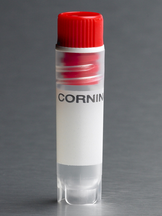 Corning® 2 mL Red Cap Internal Threaded Polypropylene Cryogenic Vial, Self-Standing with Round Bottom