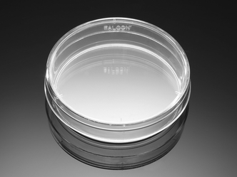 Corning® BioCoat™ Poly-L-Lysine 60 mm Culture Dishes, 20/Pack, 20/Case