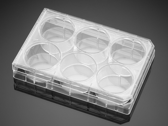 Corning® BioCoat™ Poly-L-Lysine 6-well Clear Flat Bottom TC-treated Multiwell Plate, with Lid, 5/Pack, 50/Case