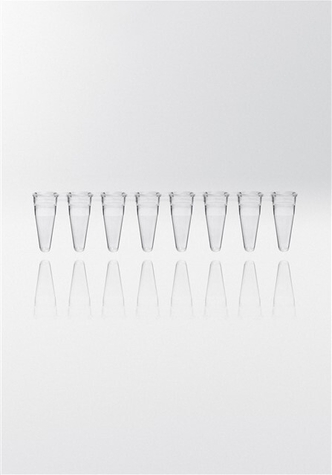 Nerbe Plus PCR microcentrifuge tube PP, 0,1ml, without cap, low profile, 8-strips, transparent (1250 pcs)