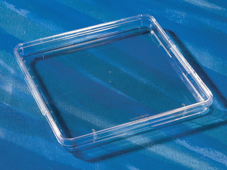 Corning® 245 mm Square BioAssay Dish with Handles, not TC-treated Culture