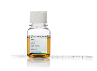FBS Xtra, Fetal Bovine Serum, Collected in USA (100 ml)