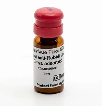 PhenoVue™ Fluor 568 - Goat Anti-Rabbit Antibody Cross-Adsorbed