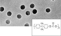 Polycarbonate Track-Etched Membrane Filters