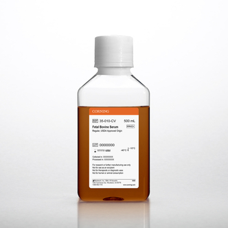 Corning® 500 mL Fetal Bovine Serum, South American Sourced