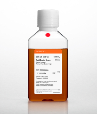 Corning® Fetal Bovine Serum, 500 mL, Premium, New Zealand Origin (Gamma Irradiated)