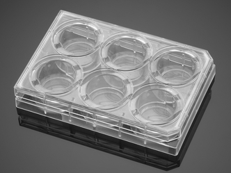 Corning® BioCoat™ Poly-D-Lysine 6-well Clear Flat Bottom TC-treated Multiwell Plate, with Lid, 5/Case