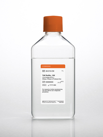 Corning® 1L 10x TAE Buffer, Liquid, pH 8.3 ± 0.1 RNase-/DNase- and protease-free