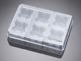 Falcon® 6-well Deep Well TC-treated Polystyrene Plate, 1/Pack, 4/Case