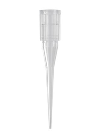 Axygen® Automation Tips for Beckman Coulter® 20 µL, Clear, Non-Filtered, Sterile