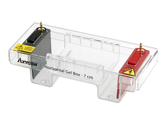 Axygen® Horizontal Gel Box, 7 cm