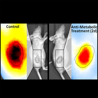 IVISense Tumor Metabolism Fluorescent Imaging Panel