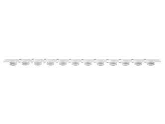 Axygen® 0.2 mL Polypropylene PCR Tube Strips and Flat Cap Strips 12 Tubes/Strip, 12 Flat Caps/Strip, Clear, Nonsterile